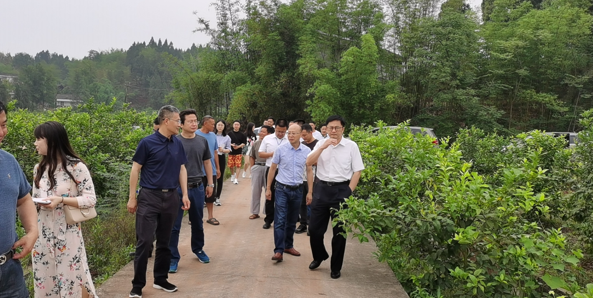 &ldquo;成渝深度合作推动中国柠檬高质量发展&rdquo;重大咨询项目课题组调研工作第二站：重庆市潼南区