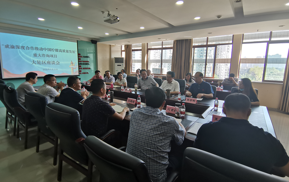 &ldquo;成渝深度合作推动中国柠檬高质量发展&rdquo;重大咨询项目课题组调研工作第三站：重庆市大足区
