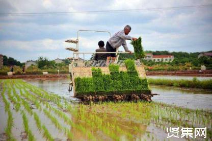 水稻育插秧机械化技术