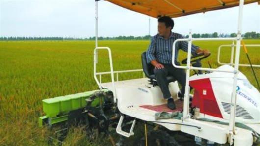 水稻机械化直播技术