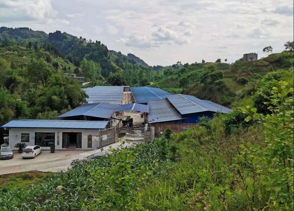 四川开江县鸿发家庭农场