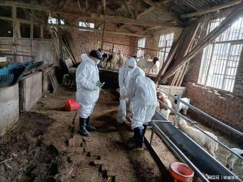 种禽场动物疫病净化技术