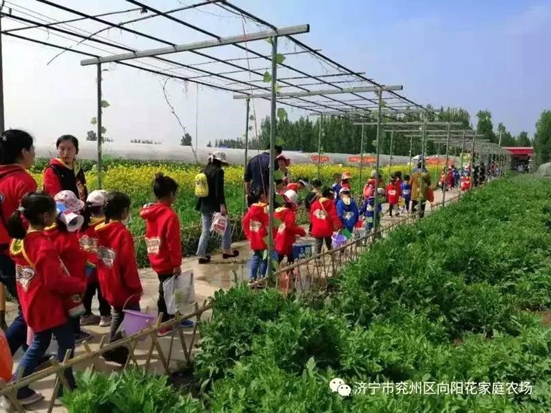 山东济宁市兖州区向阳花家庭农场