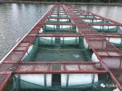 池塘&ldquo;一改五化&rdquo;生态集成养殖模式