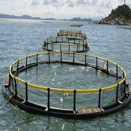 深水抗风浪网箱养殖技术