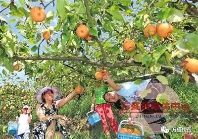 重庆市万盛经开区雷峰垭生态农业家庭农场