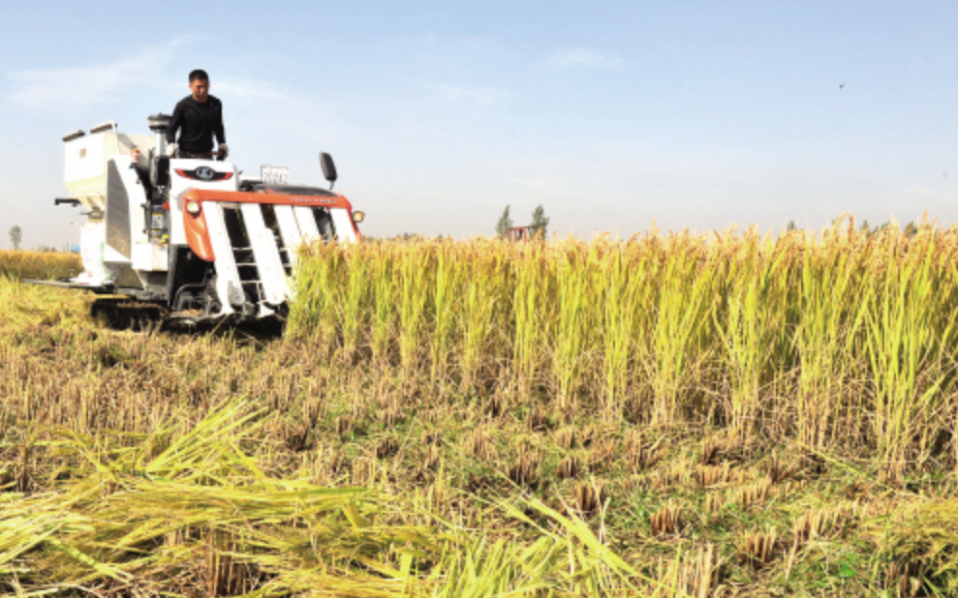 水稻全程机械化生产技术