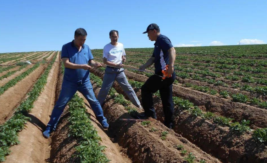 马铃薯&mdash;水稻轮作全程机械化生产技术