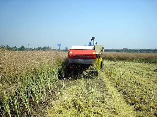 油菜机械化轻简生产技术