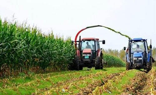 重庆市玉米全程机械化生产技术规程