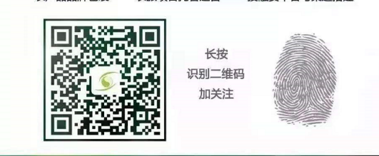 乡村振兴战略规划