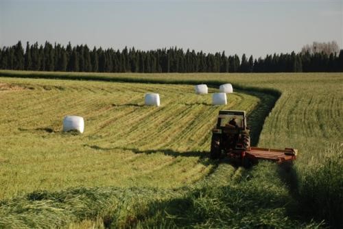 牧草青贮技术集成与推广应用