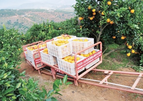 山地果园肥水药一体化技术