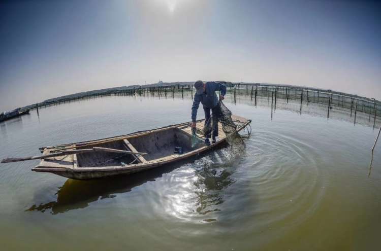 池塘大规格优质河蟹&ldquo;3+5&rdquo;分段养殖技术