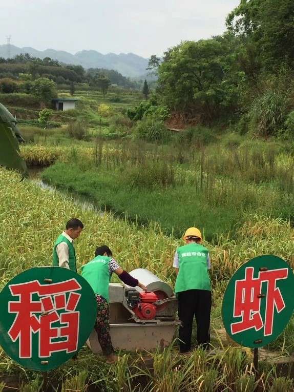 四川宜宾市叙州区稻香坛种养殖家庭农场