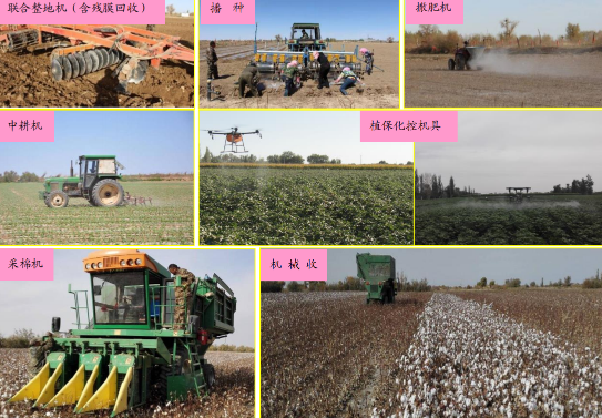 艺机一体丰产高效轻简化植棉综合栽培技术