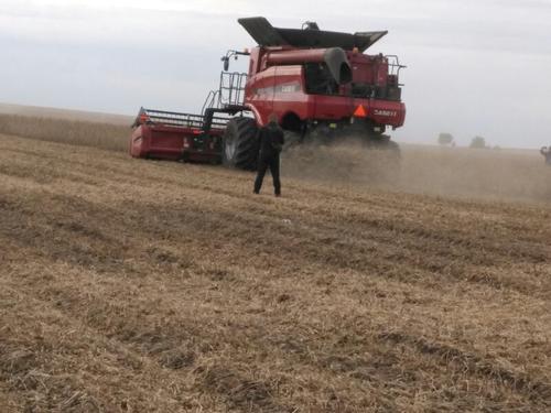 大豆高质低损收获机械化技术