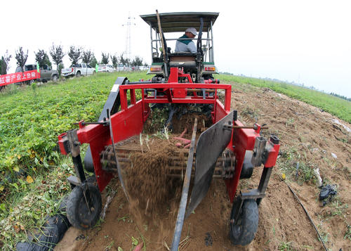山芋生产全程机械化关键技术与装备
