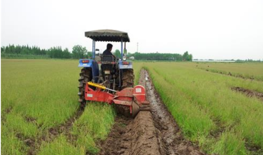 油菜&mdash;水稻轮作全程机械化生产技术