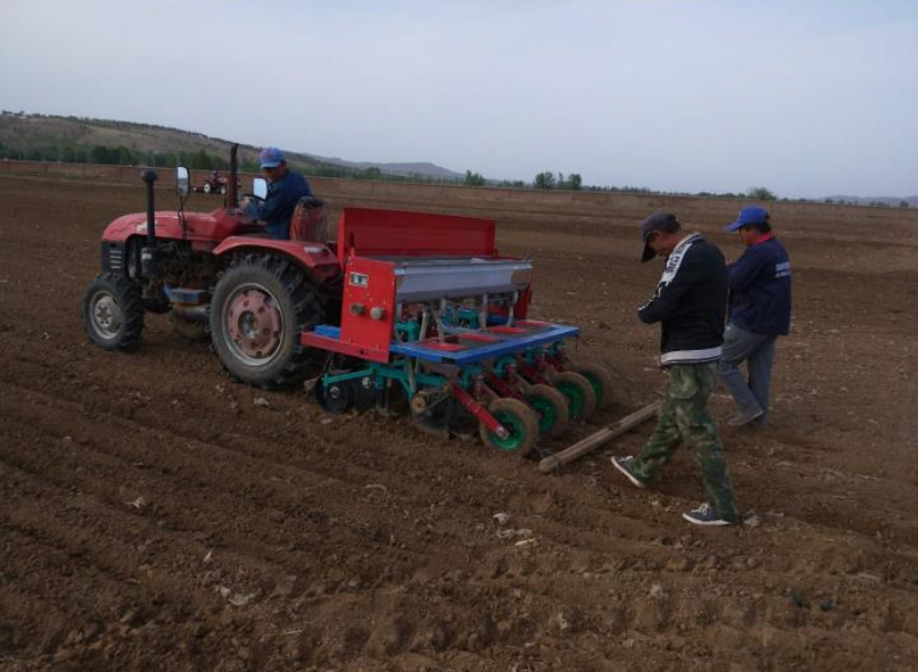 春谷区谷子轻简化栽培技术