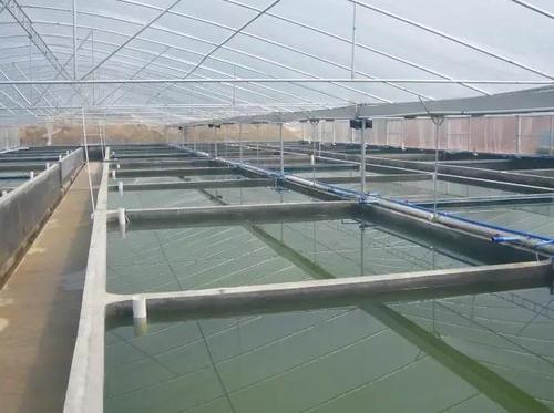 水产养殖废水深度处理及资源化利用技术