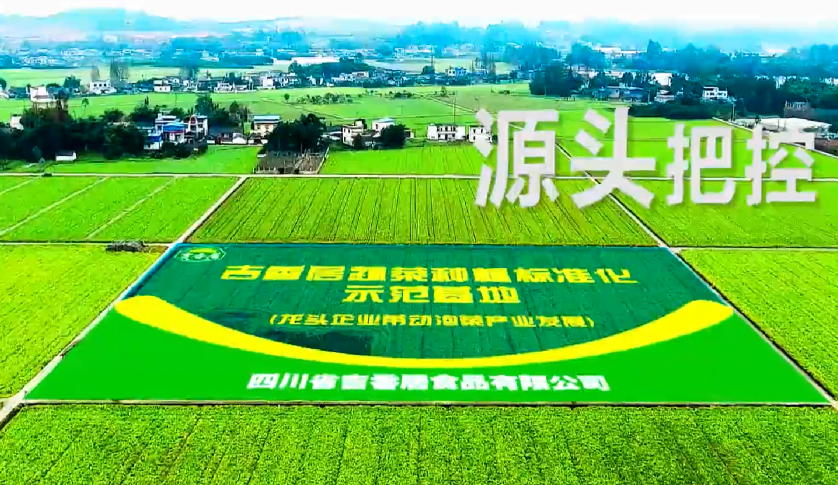 四川省吉香居食品有限公司