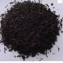 工夫红茶加工技术