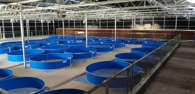 池塘工程化循环水养殖技术