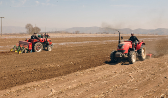 玉米大小垄全程机械化技术
