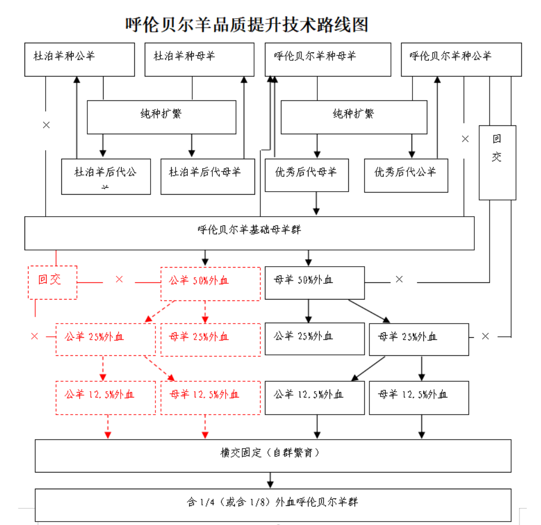 呼伦贝尔羊品质提升技术