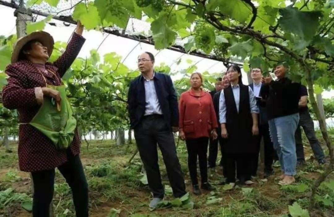 重庆涪陵区洪家大院家庭农场