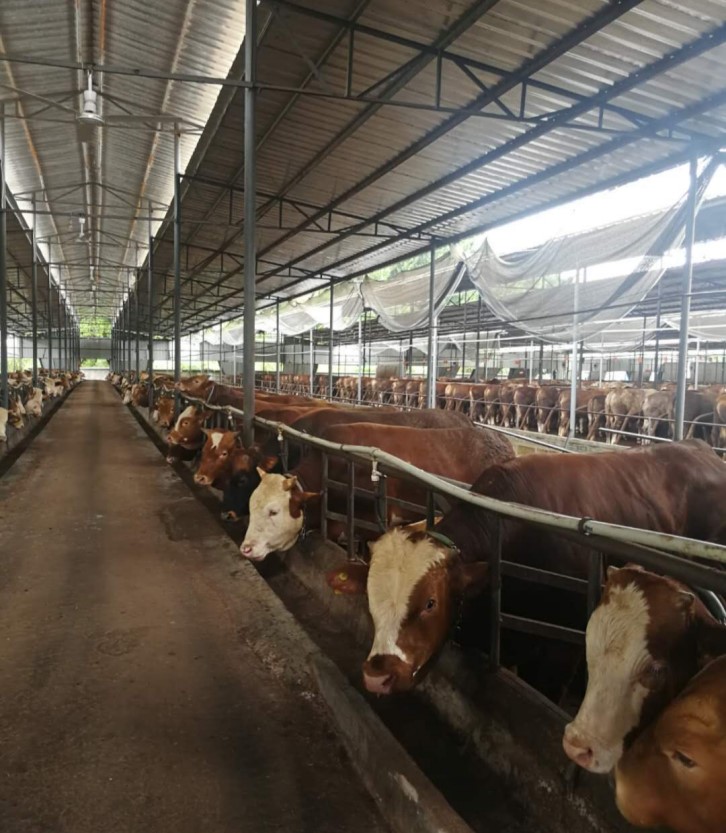 四川省达州市渠县清山汉子家庭农场