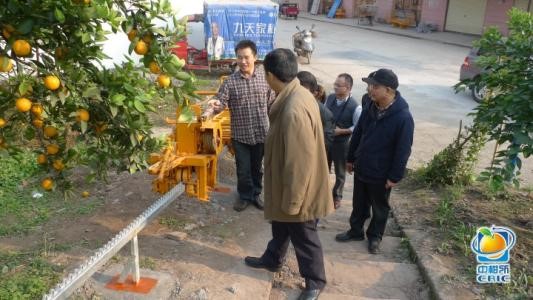 柑橘果园机械化生产管理技术