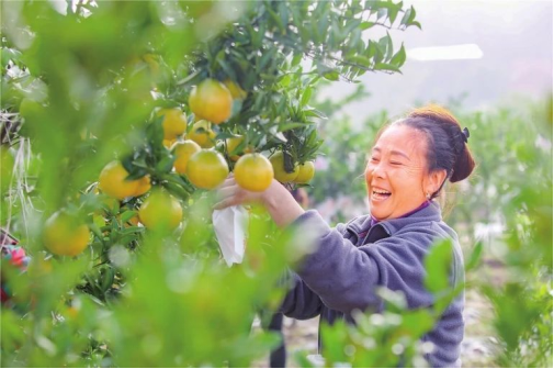遂宁市大英县蓬莱镇桅杆坝村