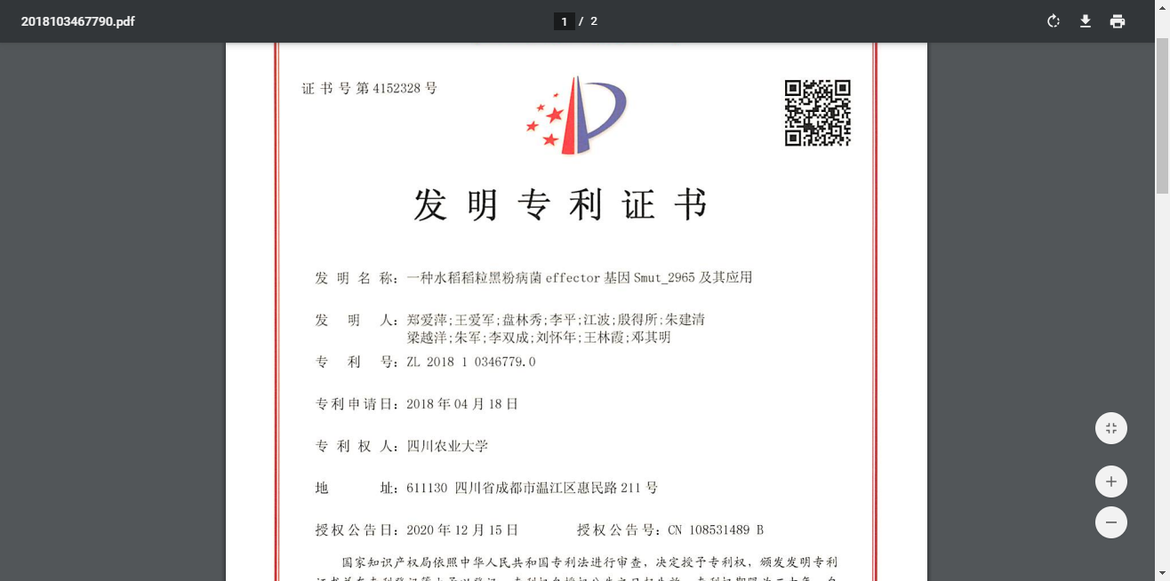 一种水稻稻粒黑粉病菌effector基因Smut_2965及其应用