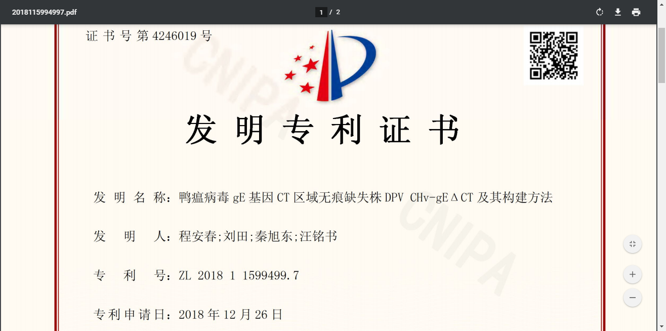 鸭瘟病毒gE基因CT区域无痕缺失株DPV CHv-gEΔCT及其构建方法