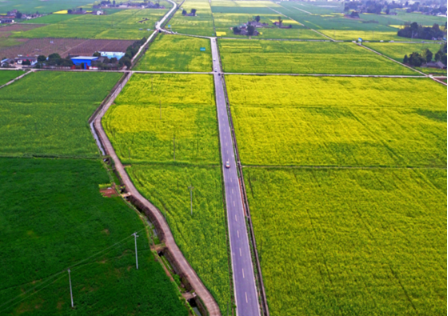 成都市邛崃市高梗街道火星村