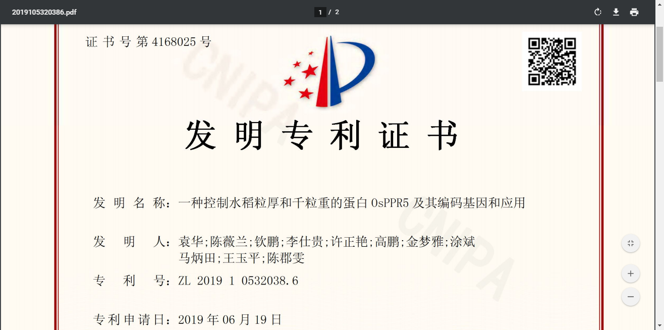 一种控制水稻粒厚和千粒重的蛋白OsPPR5及其编码基因和应用