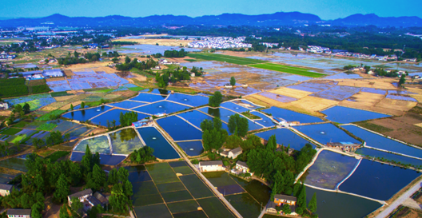 成都市新津区安西镇月花村