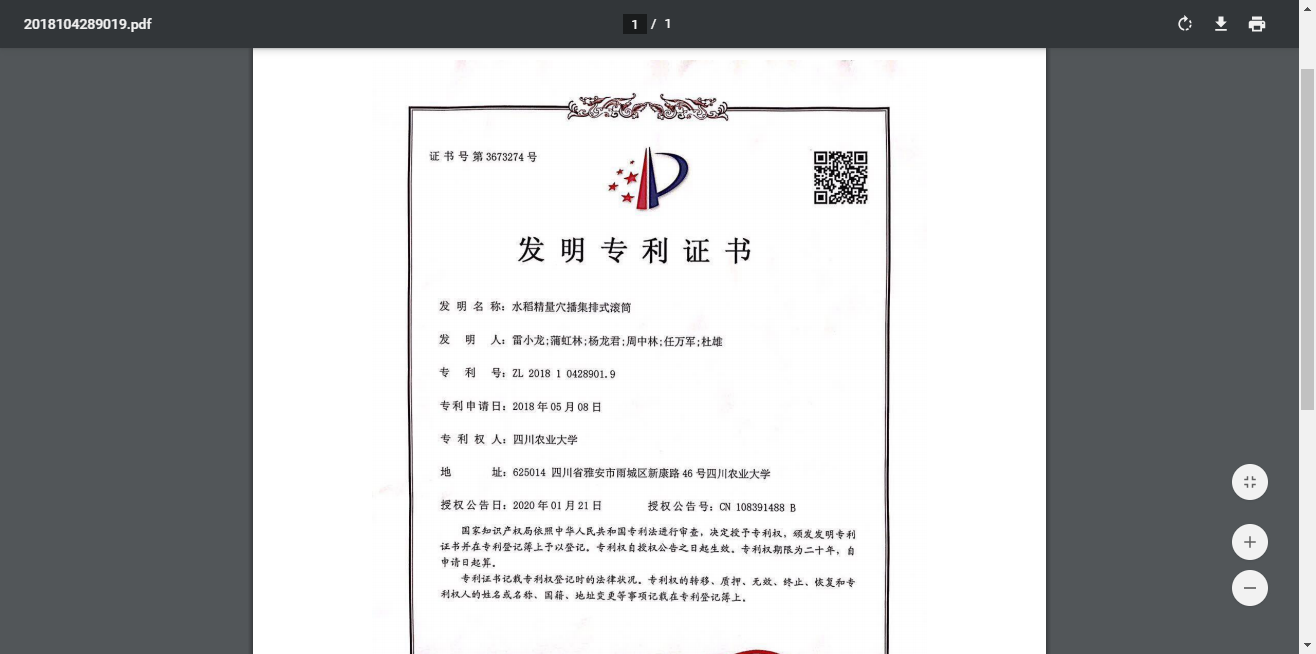 水稻精量穴播集排式滚筒