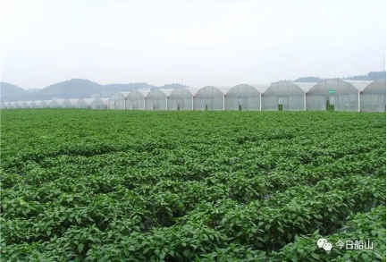 遂宁市船山区唐家乡东山村