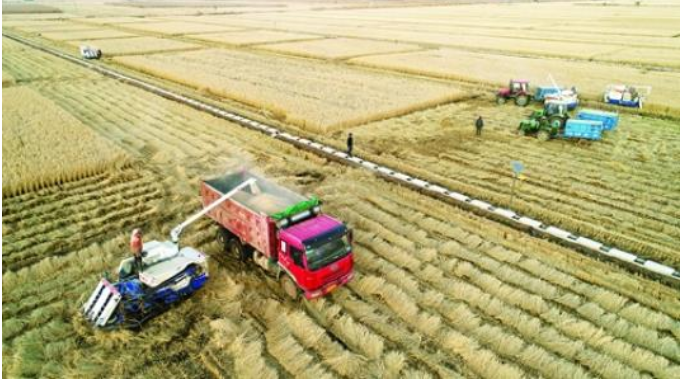 优质稻米全程机械化生产技术