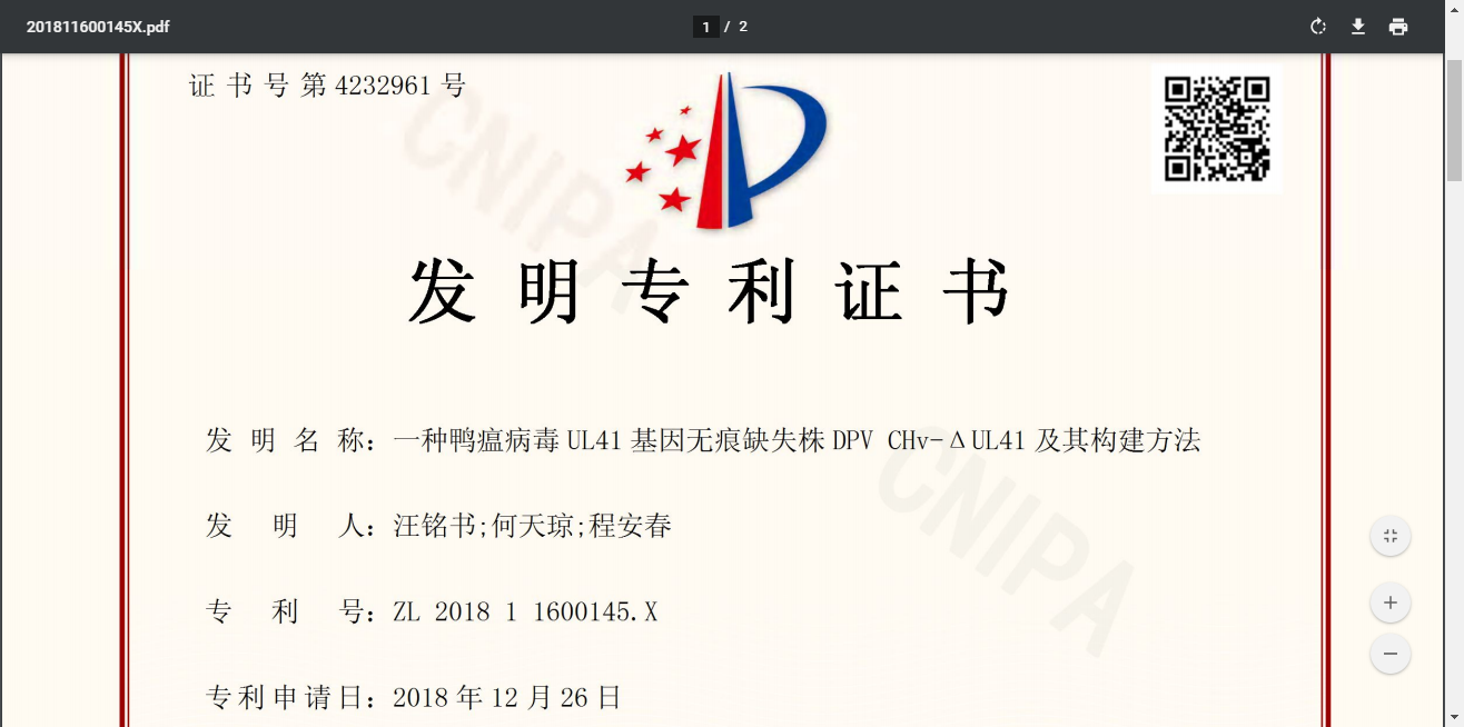 一种鸭瘟病毒UL41基因无痕缺失株DPV CHv-ΔUL41及其构建方法