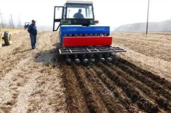 蚕豆机械化精量播种技术