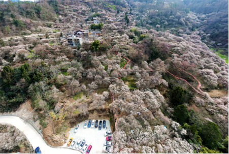 绵阳市平武县平通羌族乡桅杆村