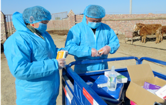 畜禽主要疫病及人畜共患病净化技术