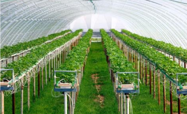 设施农业物联网应用技术