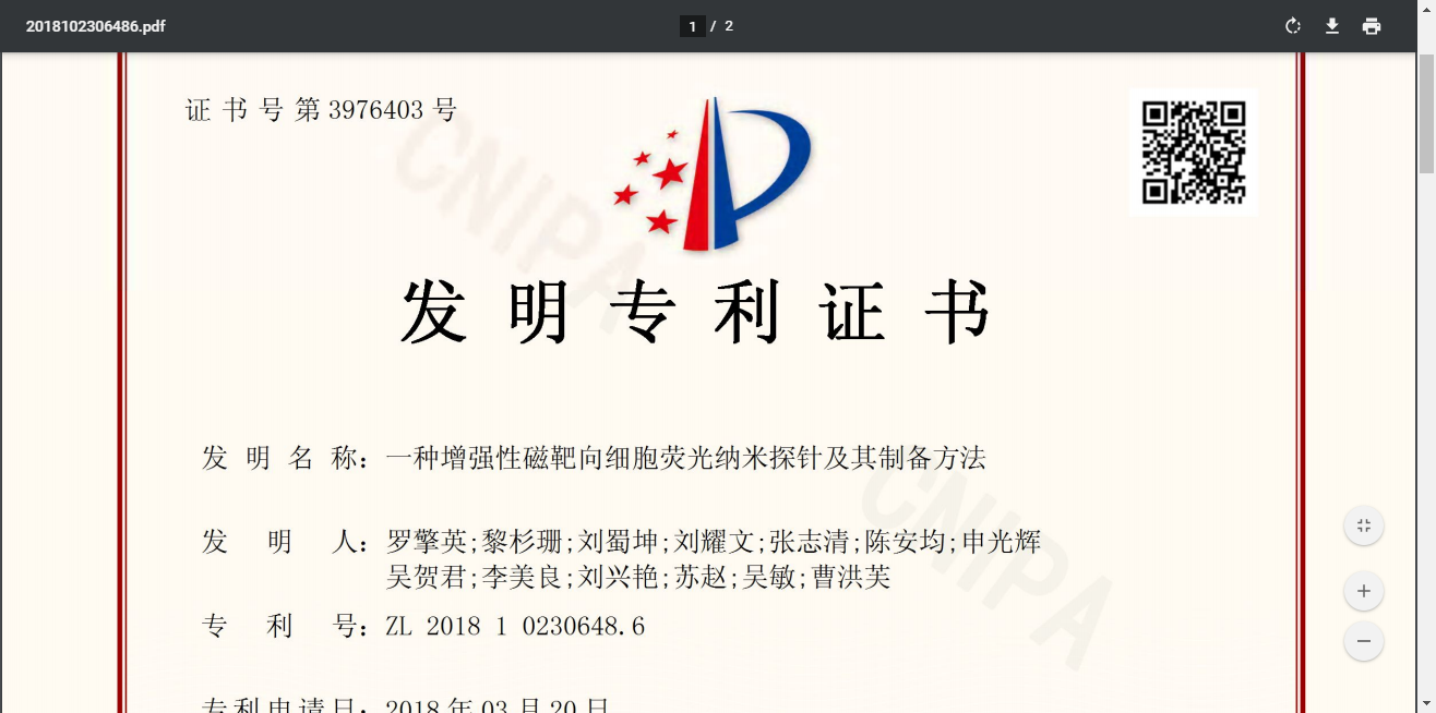 一种增强性磁靶向细胞荧光纳米探针及其制备方法