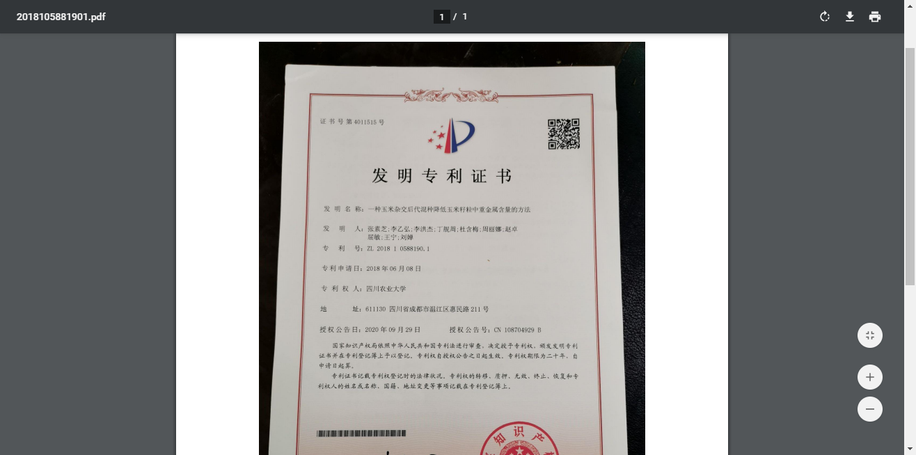 一种玉米杂交后代混种降低玉米籽粒中重金属含量的方法