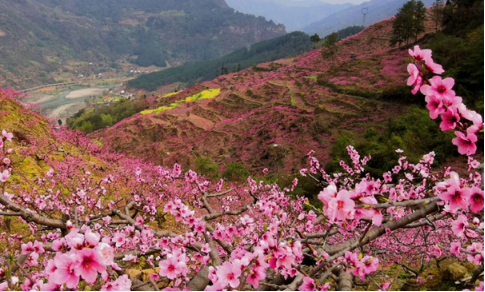 绵阳市平武县响岩清水村